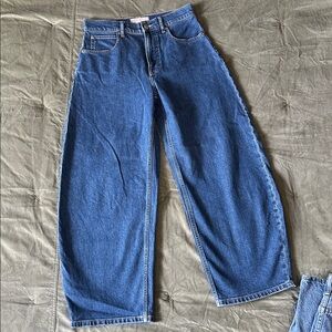 Everlane The Way High Curve Barrel Jean, Size 27